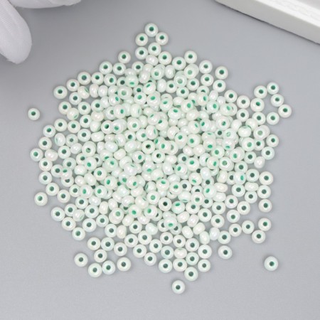 Glass beads 8/0 "Color middle. Mint" 10 g-1
