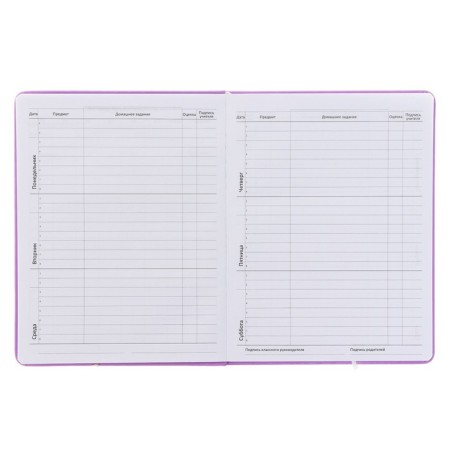 Universal Diary 1-11 grade "I am in order", solid cover, artificial leather, silk-screen printing, lies, block 80 g/m2-4