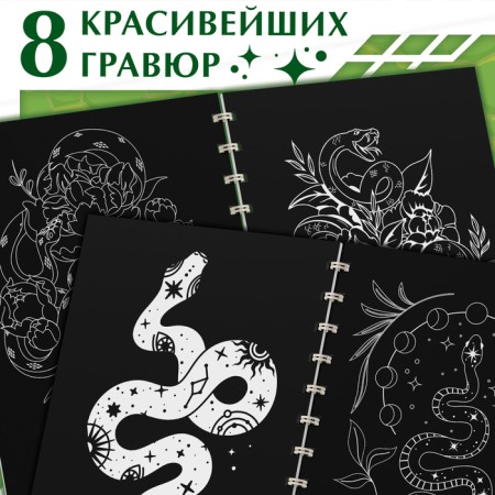 The book "engravings. Snakes ", 8 pictures, with Stechel-1
