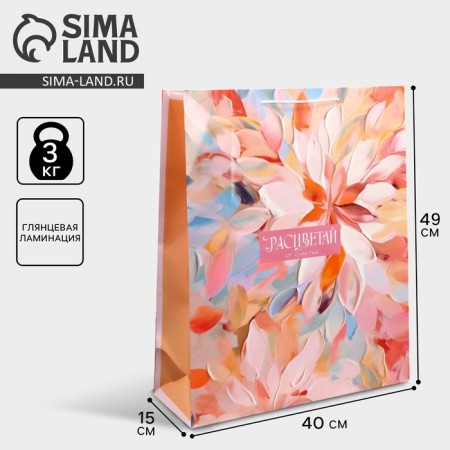 Gift package laminated, packaging, “color palette”, 40 x 49 x 15 cm-1