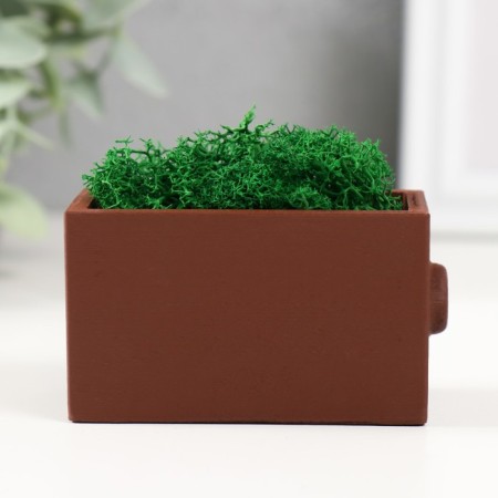Kashpo concrete mini "Retro radio" with moss light brown 8x4x4.5cm (moss green stabil.)-3