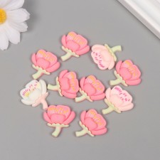 Decor for creativity plastic 
