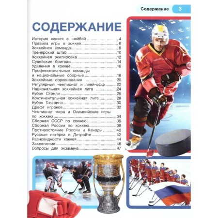 Хоккей-1