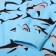 Pajamas for boys, blue color/sharks, height 134 cm