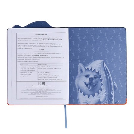 School diary for grades 1-11, "Shibaine in a shark costume", a solid cover with foam rubber, artificial leather, figured cutting, liesse, 48 sheets, block 80g/m2-11