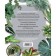 Green oasis. Indoor plants from A to Z, Berezkina I.V.