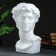 Figure "Bust of David" White, 24x48cm