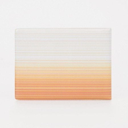 Cover for a student ticket, white/orange color-1