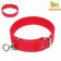 Four-layer collar with a swivel, 80 x 4.9 cm, Osh 64-74 cm, polyester, red