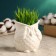 Pot "Owl Bukla" White, 9.5x9cm