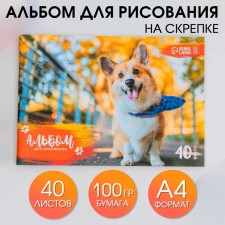 Альбом для рисования 40 листов А4 на скрепке «1 сентября: Корги» обложка 160 г/м2, бумага 100 г/м2.
