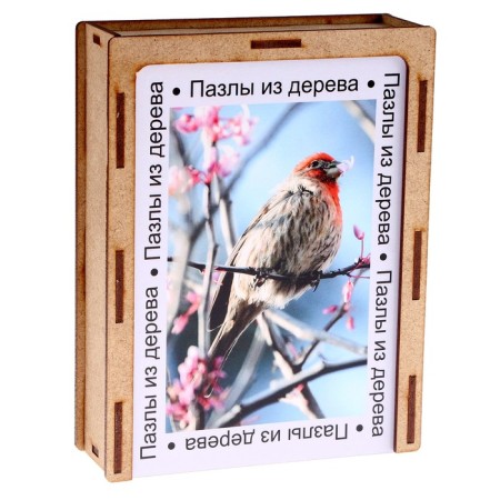 Puzzle series Fantasy "Bird", 54 details, size - 28 × 18.5 cm-4