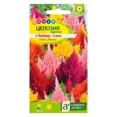 Flower seeds holosa lilliput mixture of periyas, o, CP, 0.1 g-4