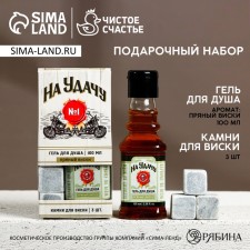 Подарочный набор косметики «На удачу!», гель для душа 100 мл и камни для виски, HARD LINE
