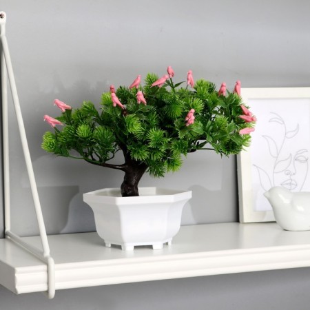 Bonsai in the pot "Poiparis's milk" 23x19 cm, mix