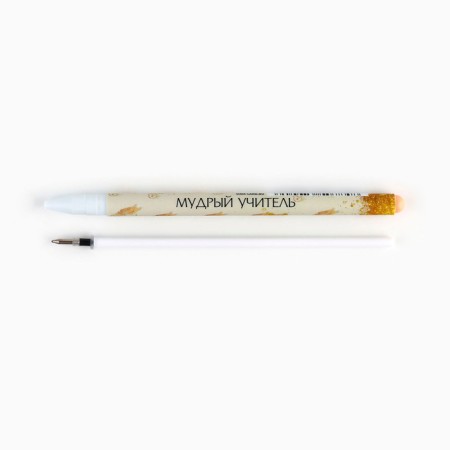 Pen Plastic with a cap software "Teacher", mix, blue paste 0.7 mm-2