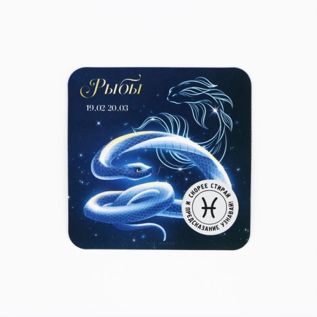 Magnet with a scretch-layer "Pisces", 8 x 8 cm-1