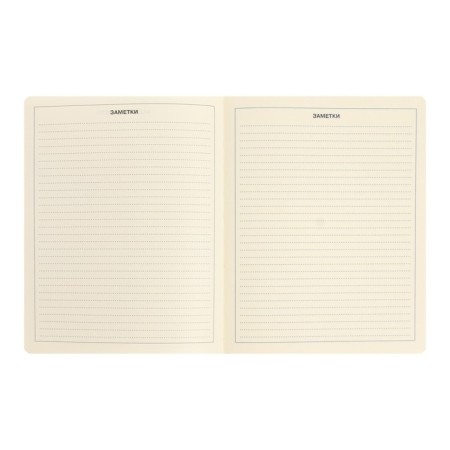 School diary for grades 1-11 Schoolmix. Koala, hard cover, artificial leather, with foam, liesse, 48 sheets, tinted block 70g/m2-10