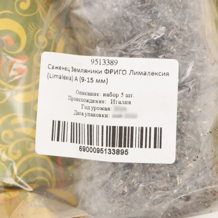 Frigoro Limaleki Strawberry seedling (Limalexia) a (9-15 mm), 5 pcs-3
