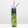 Grape seedling delight, spring 2024, 1 pc.