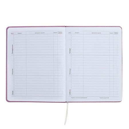 Universal diary for grade 1-11 Mentality, hard cover, artificial leather, liesse, 80 g/m2-6