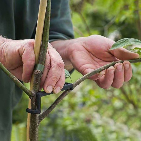 Branch holder, h = 13 cm, support for trees, blue, Greengo-5