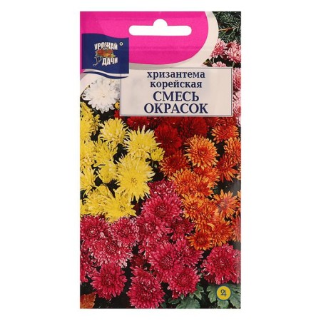 Seeds of chrysanthemum flowers multi -flowered Korean mixture, 0.02 g-2