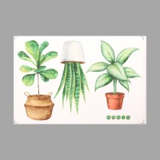 Sticker plastic interior color 