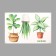 Sticker plastic interior color "home plants" 40x60 cm