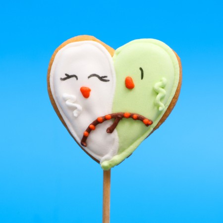 Vanilla mini-flood on a stick "Birds" 15 g-2