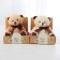 Soft toy "You are the best", Bear, mix, 15 cm