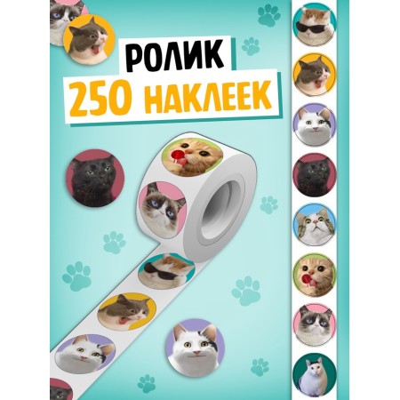 Set "1000 Kotostikers": 4 stickerbooks, video, 3D stickers-6