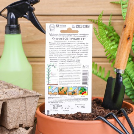 Cucumber seeds "All with a bundle", F1, 10 pcs.-1