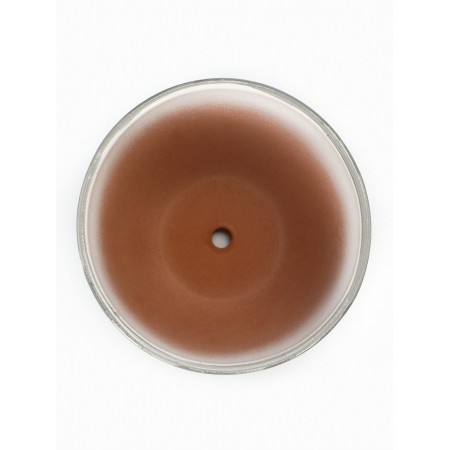 Flower crocus pot 1.65 l-4