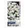 Flowers of Verbena Aurora Belaya, 10pcs