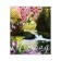 Notebook of 48 sheets in the Calligrata “landscape” cage, covered cardboard, block No. 2, whiteness 75% (gray sheets), mix