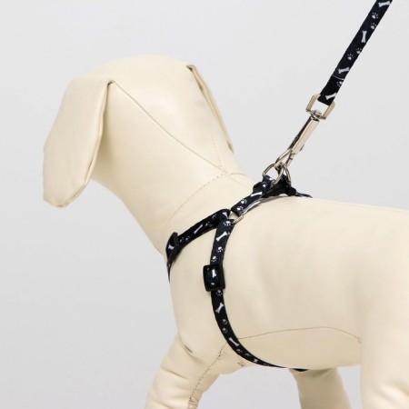 Set "Classic", leash 120 x 1 cm, fire 28-47 cm, black-6