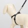Set "Classic", leash 120 x 1 cm, fire 28-47 cm, black