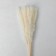 Sukhotzet "reed" set 15 pcs, beige color