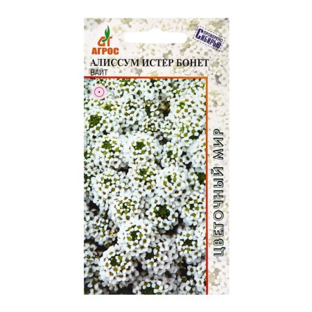 Seeds Alissum Ister Bonet Wight 10pcs*