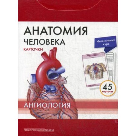 Human anatomy: cards. (45pcs). Angiology. Sapin M.R., Nikolenko V.N., Timofeev M.O.