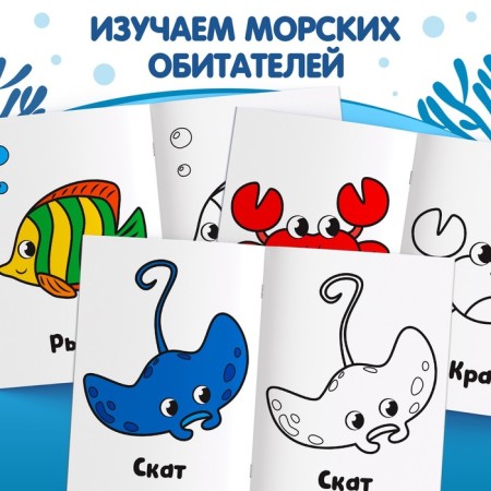 Coloring "Sea Animals", 16 p.-2