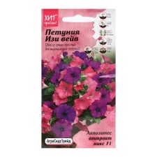 Flowers of Petunia 