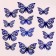 Set for decorating "Butterflies", 12 pieces, blue color