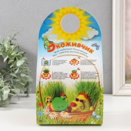 Growing gift Eco -Levik "King Leo" mix-6