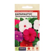 Flower seeds Catarantus 