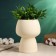 Kashpo - Vase "Mina" White, 14x14x20cm