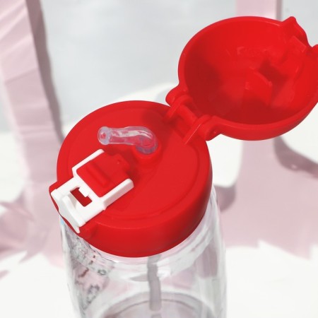 Water bottle "Eve time", 750 ml-5
