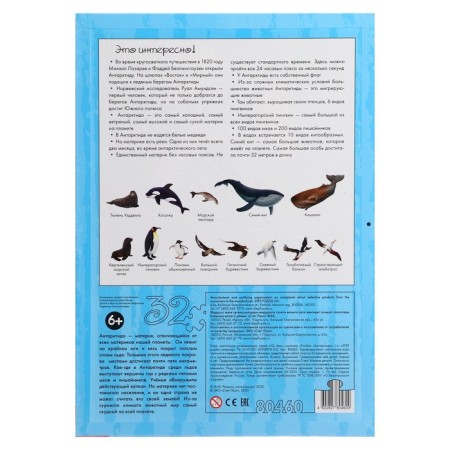 Developing puzzle "Antarctica"-1