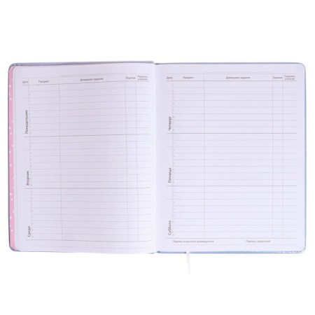 Universal diary for grade 1-11 STAY Chic, hard cover, artificial leather, foam rubber, lies, 80 g/m2-6